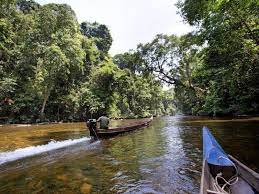 The name is a literal malay translation of the word, national park. Taman Negara Keniam Trail 6days 5nights Depart Kl Malaysia Adventoro