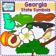 The style of citing shown here is from the mla style citations (modern language association). Georgia State Symbols Worksheets Teaching Resources Tpt