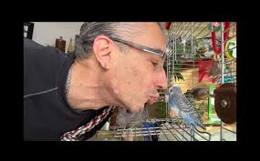 Budgie band legend passes away