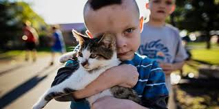 Austin, Indiana's north side hit hardest by substance abuse