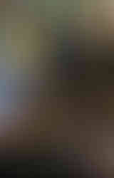 Muslim group partners with area organization to feed homeless during  Ramadan