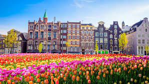 We did not find results for: 10 Most Beautiful Flower Cities In The World This Is Italy