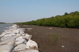 We did not find results for: Kearifan Massa 20 Pertanyaan Teratas Tentang Hutan Dan Bentang Alam Cifor Forests News