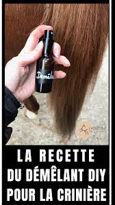 Le Demelant Pour La Criniere Fait Maison En 2020 Soins Des Chevaux Diy Equitation Friandises Pour Cheval