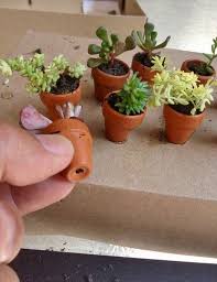 Clay Flower Pot 3 4 Inch Tiny Miniature Fairy Garden Terra Etsy Fairy Garden Miniature Fairy Gardens Fairy Garden Diy