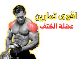 تمارين عضلة الكتف بالصور shoulder workout workout shoulder