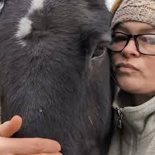 🐾Dog grooming from home 🐾ideal for nervous dogs 🐾one