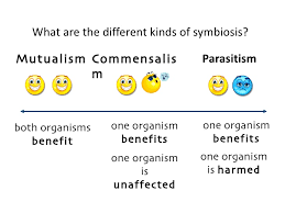 mutualism parasitism and commensalism