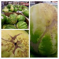 Microwaving food might just require more thought than one would originally think. With These Hacks You Ll Not Pick A Bad Watermelon Anymore