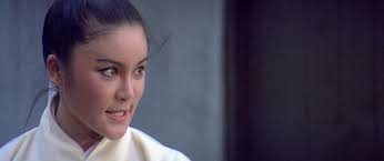 Cinematic Vengeance: 8 Kung Fu Classics by Joseph Kuo Blu-ray review