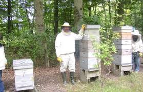 Epingle Sur Apiculture