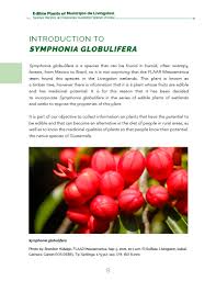 Image result for Symphonia globulifera