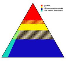 food pyramid nutrition wikipedia