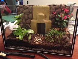 A Terrarium Made Using A Small Aquarium And A Styrofoam Concrete Background Diy Fish Tank Fish Tank Garden Succulents Diy