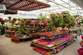Http Www Soilservice Com Garden Center Displays Garden Center Garden Shop