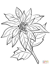 Poinsettia Flower Coloring Page Free Printable Coloring Pages Flower Line Drawings Flower Coloring Pages Printable Flower Coloring Pages