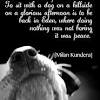 I fell in love with dogs when i was 6 years old. Https Encrypted Tbn0 Gstatic Com Images Q Tbn And9gcsqhzj7khrjdpskboi8s6m5e3fut9lxhgjygu49gx9x3c Tp22e Usqp Cau