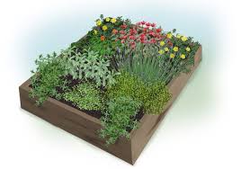 Pay attention to different chicken coop designs and their purpose. An Herb Garden For Chickens Bonnie Plants