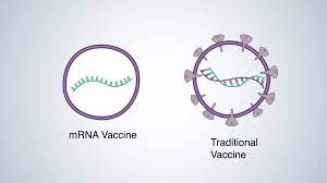 When human cells take up the mrna, they use it to manufacture millions of copies. Video How Does The Covid 19 Mrna Vaccine Work Krames