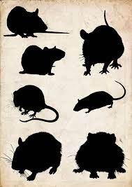 Mouse Silhouette Clip Art 7 Png Clipart Instant Download Etsy Silhouette Clip Art Rat Silhouette Mouse Silhouette
