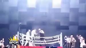 « j'ai une petite idée comme ça. Ibrahimovic Boxing Fight Video Dailymotion