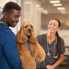 Years of knowledge and expertise in pet nutrition and health helps us to offer dog and cat owners the widest possible selection of healthy foods, toys, treats, amenities along. Pet Stores In Missoula Yelp