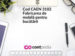 Cod Caen 3101 Fabricarea De MobilÄƒ Pentru Birouri Si Magazine