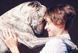 Последние твиты от maya henry updates (@mayahenryua). Liebt Mich Mein Hund Ja Sagt Forscher Clive Wynne