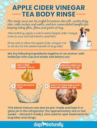 Recipe Calm Rashes Welts And Soothe Itchy Skin With This Applecidervinegar Rinse Via Dogsnatura Itchy Dog Shampoo Itchy Dog Dog Allergies Remedies