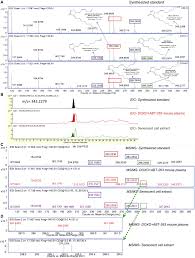 This tool will allow you to create huge, spaced out text in just a matter of it is also equipped with the state of the art big letters generator, which means that it can even increase. Oxylipin Biosynthesis Reinforces Cellular Senescence And Allows Detection Of Senolysis Sciencedirect