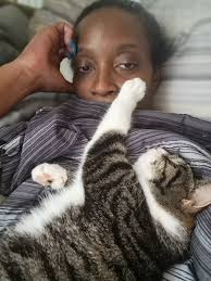 Unwanted Visitors in Animal Crossing Homes