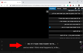 How to add subtitles to netflix. How To Get Subtitles And Closed Caption On Netflix Laptrinhx