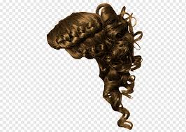 Chin, forehead, cheekbones, and jawline. Hairstyle Braid Long Hair Updo Hairs Face People Fashion Png Pngwing