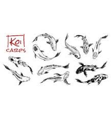 Koi Fish Drawing Vector Images Over 1 200 Because in japanese the pronunciation of the kanji love is the same as carp, the koi fish has become a symbol of love and friendship in japan. vectorstock