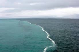Warna air laut biru yang jernih dengan warna air sungai yang kecoklatan saling bertemu dan bersisian yang terlihat jelas perbedaannya. Lihatlah Pemisah Antara Air Tawar Dan Asin Di Lautan Islampos