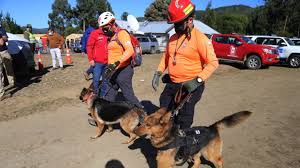 #casotomásbravo #tomásbravo #noticiasa más de 72 horas de la desaparición de tomás bravo, meganoticias tuvo acceso exclusivo a conversar con uno de los. Eqdfzc1wakoa M