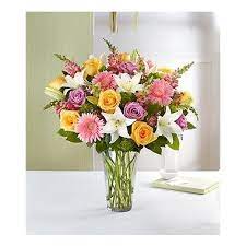 Maybe you would like to learn more about one of these? Sensational Spring Beauty Cedar Falls Ia Spring Flowers Pink Gerbera 800 Flowers
