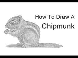 In this first step you will be drawing out the guidelines and circle shapes for alvin, simon, and theodore. How To Draw A Chipmunk Youtube