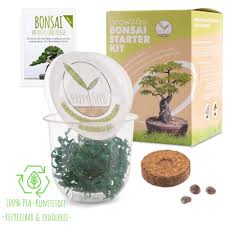 Free shipping for many products! Grow2go Bonsai Tree Kit Incl Free Ebook Starter Set With Mini Greenhouse Seeds Soil Sustainable Gift Idea For Buy Online In Cayman Islands At Cayman Desertcart Com Productid 150276168