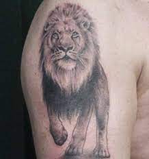 Majestic Lion Tattoos Animal Tattoos Lion Shoulder Tattoo Lion Tattoo