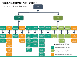 organizational structure