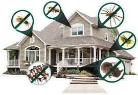 Business info for a 1 pest control of houston: 1 Pest Control Houston Tx Nature S Own Pest Control
