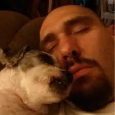 Where to buy a stator for 96 electra glide?