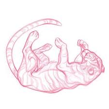 J A W Cooperさん Jawcooper Art Twitter In 2020 Creature Art Animal Art Sketch Book