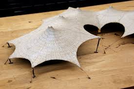 Frei Otto Exhibition Zkm Karlsruhe Roof Architecture Membrane Structure Architecture Model