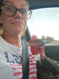 Introduction and photo of a hen in business district