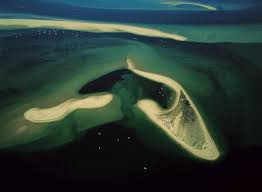 Yann Arthus Bertrand Reserve Naturelle Du Banc D Arguin Gironde France Bassin D Arcachon Arthus Bertrand Photographie De Paysage