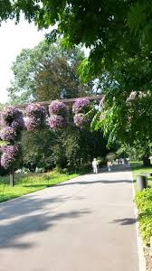 Karlsruhe Zoologischer Stadtgarten Sidewalk Germany