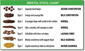 Image result for Bristol bowel movement chart