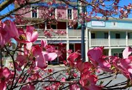 After panting, apply 2 to 3 inches of mulch, like pine bark, to hold in moisture and help to block weed growth. Abingdon Virginia 10 Reasons Why Spring In Southwest Virginia Is An